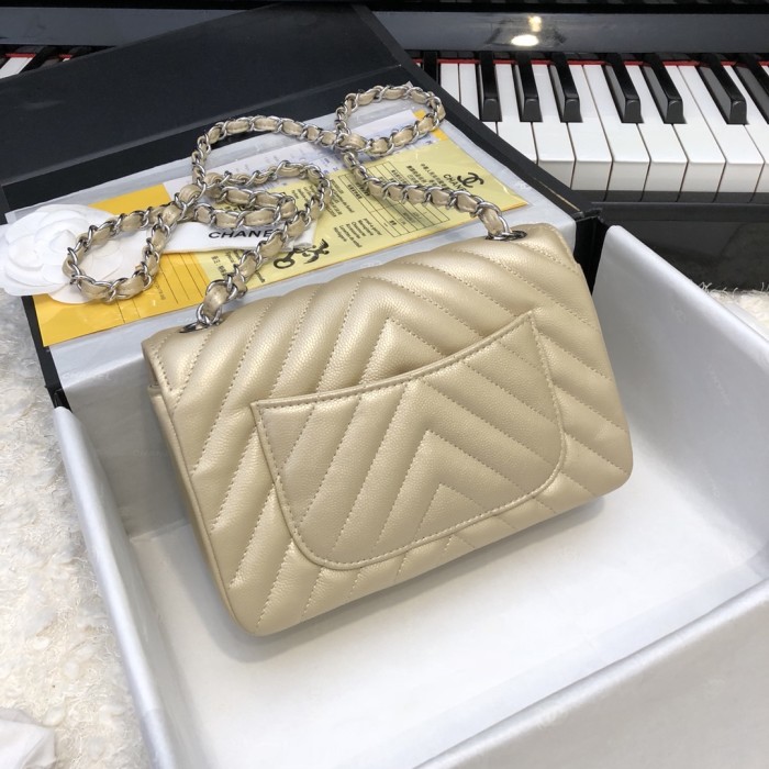 202209SS新作Chanelシャネル レディース ショルダーバックスーパーコピー