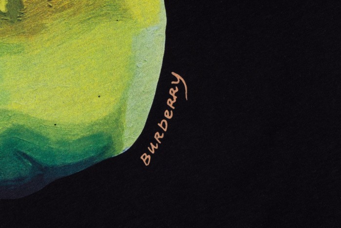 一目惚れ♪ バーバリー コピーおすすめ Burberry 24大鴨梨半袖