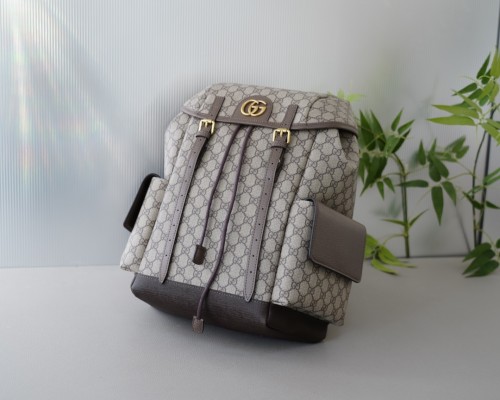 日本未入荷 グッチ コピーおすすめ リュックバック
