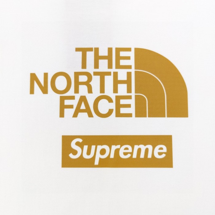 【限定】The North FaceXSupreme連名ロゴアルファベットプリントカジュアルカップル丸首半袖Tシャツ2色