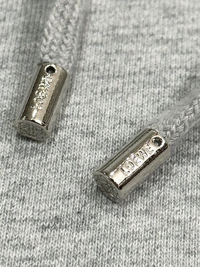 【話題商品！】ロエベ n級品 2024秋冬新作胸と後ろの立体植毛歯ブラシ刺繍420 g毛輪純綿衛衣ファスナーコート