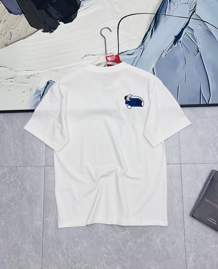 稀少 ザノースフェイス 偽物通販  のプリントカプセルのTシャツ2色