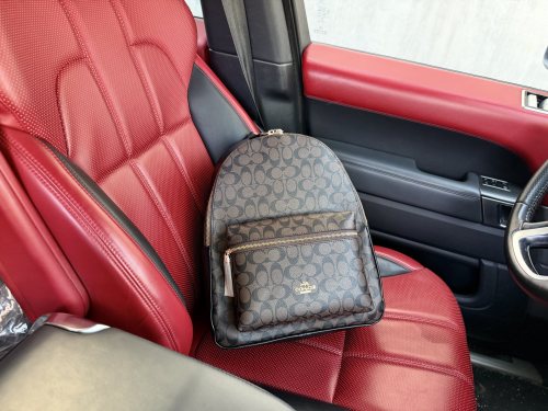 大人気 コーチ n級品 2026SS メンズ リュック/バック