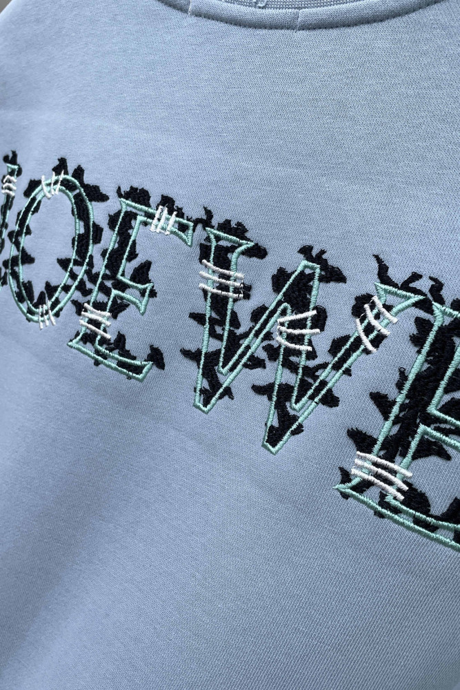 累積売上総額第１位！ ロエベ スーパーコピー の2026SS 刺繍ラウンドネックの衛衣