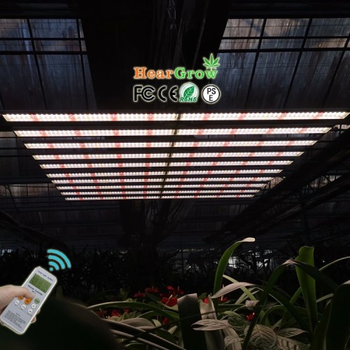 600W LED Grow Light Full Spectrum  LM301B LM281B SANSUNG-LED Mean Well Driver IP65 Best Indoor Plant Grow Light Bar
