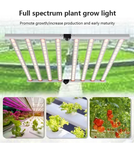 600W Hot Selling Spectrum Dimmable High Efficacy 6 Bars LED Plant Growth Light Designed Plant growth light