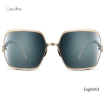 Eagle 001