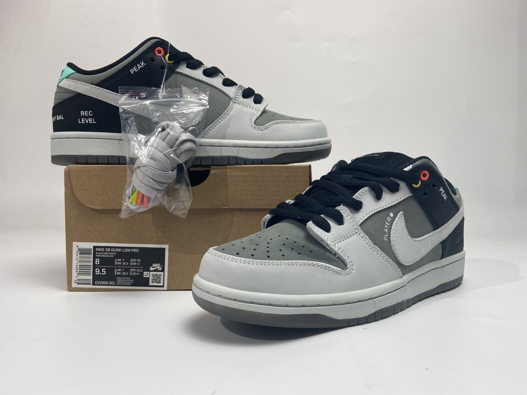 OG Nike SB Dunk Low Pro Iso VX1000 Camcorder CV1659-001 - Jdfoot.co