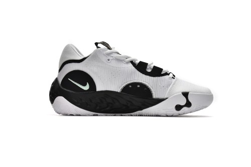 OG Nike PG 6 EP Panda DH8447-101