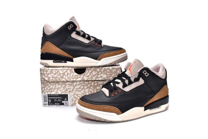 LJR Air Jordan 3 Desert Elephant CT8532-008