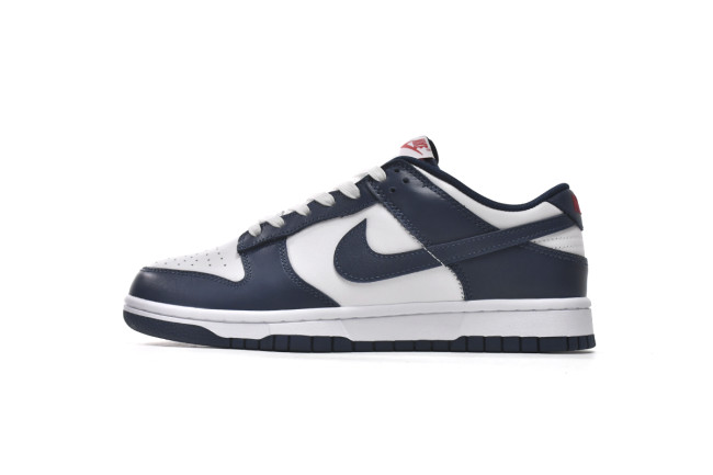 LJR Nike Dunk Low Valerian Blue DD1391-400