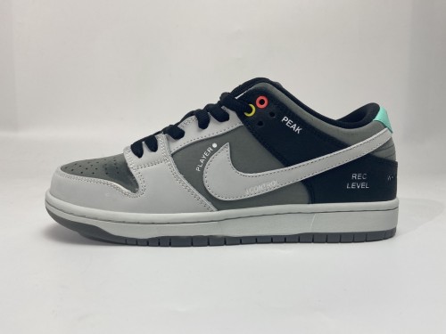 LJR Nike SB Dunk Low Pro Iso VX1000 Camcorder CV1659-001