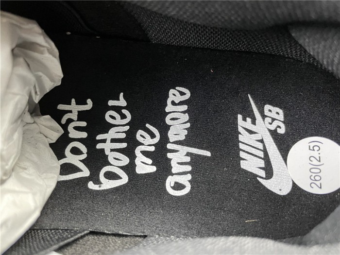 NIKE SB DUNK LOW WASTED YOUTH