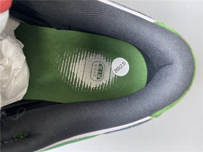 NIKE DUNK SB LOW HEINEKEN