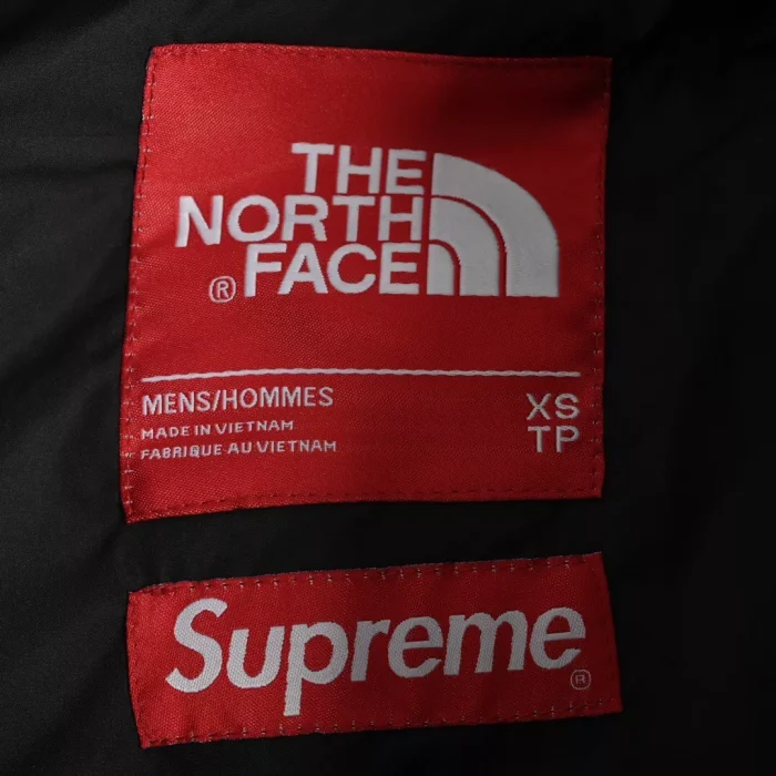 The North Face down jacket