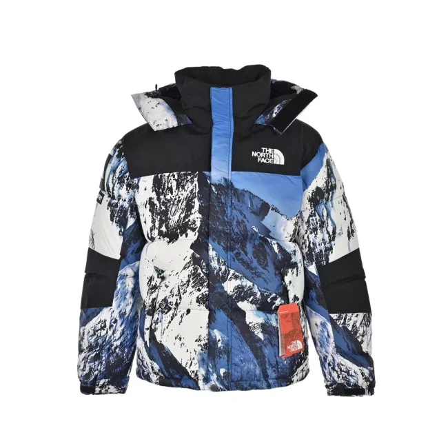 The North Face down jacket