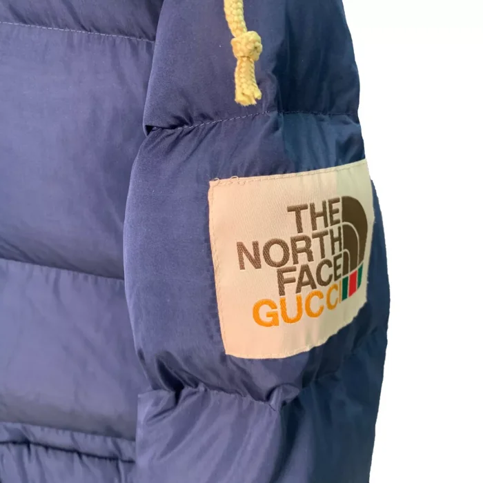 The North Face down jacket