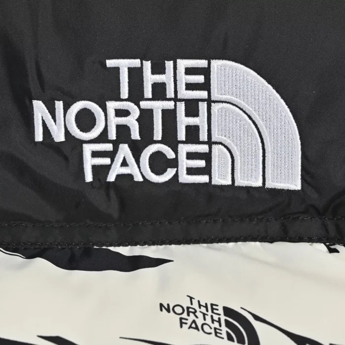 The North Face down jacket