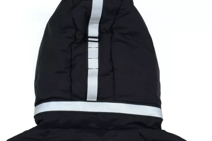 Canada Goose down jacket