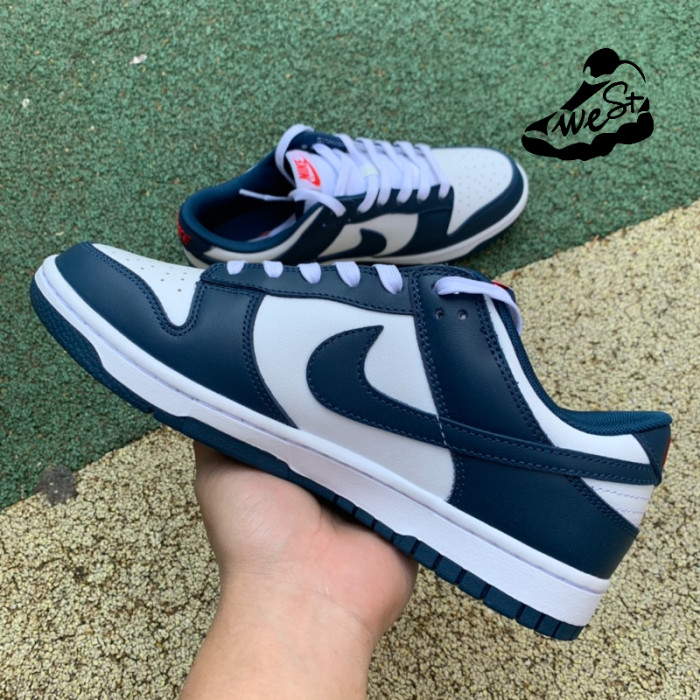 Nike Dunk Low Valerian Blue