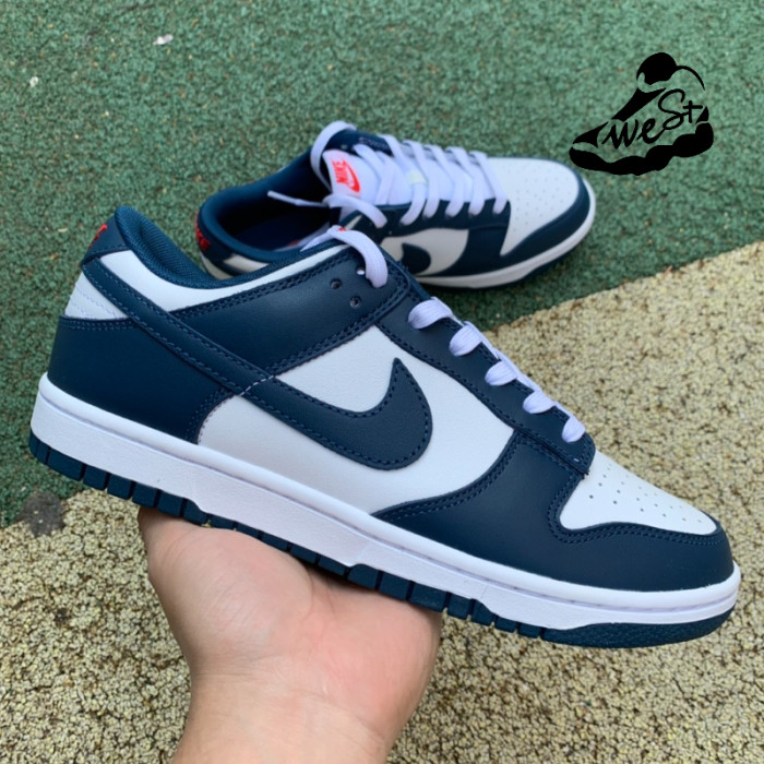 Nike Dunk Low Valerian Blue