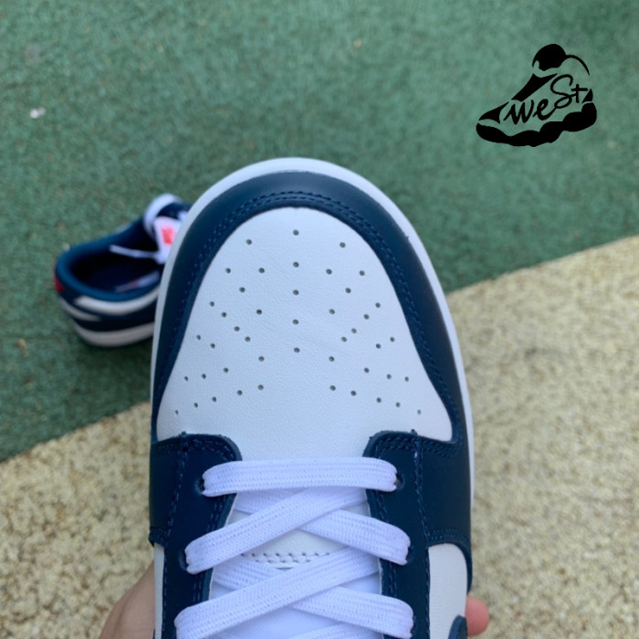 Nike Dunk Low Valerian Blue