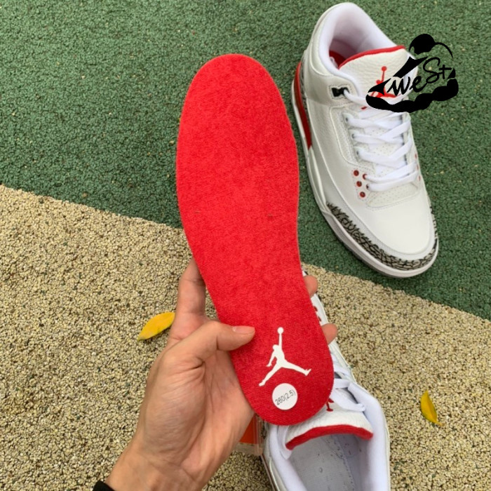 Jordan 3 Retro Hall of Fame