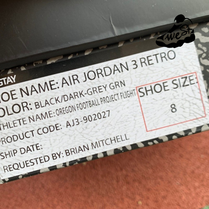 Jordan 3 Oregon Ducks Black
