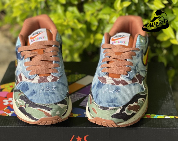 Nike Air Max 1 SP Concepts Heavy