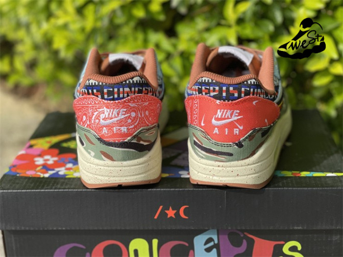 Nike Air Max 1 SP Concepts Heavy