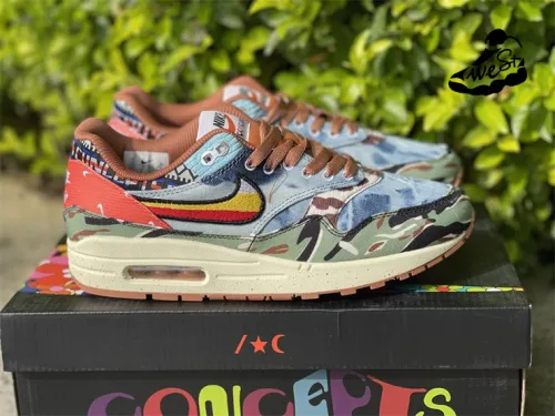 Nike Air Max 1 SP Concepts Heavy