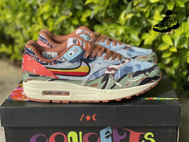 Nike Air Max 1 SP Concepts Heavy