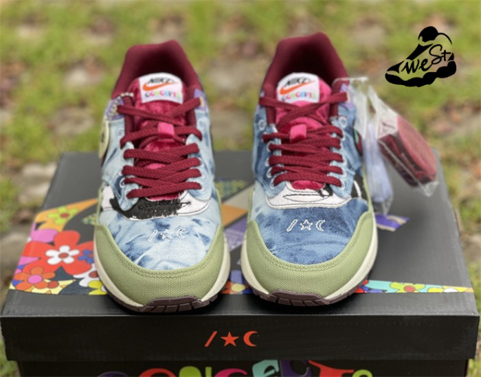 Nike Air Max 1 SP Concepts Mellow