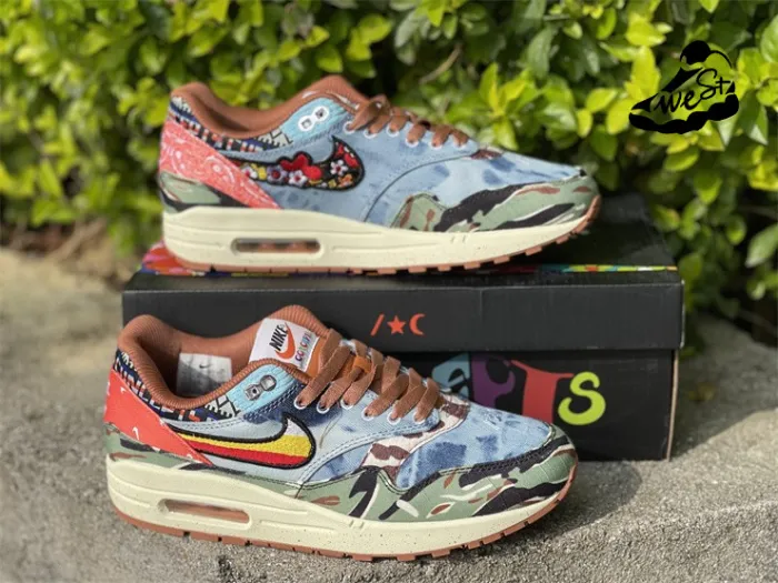 Nike Air Max 1 SP Concepts Heavy