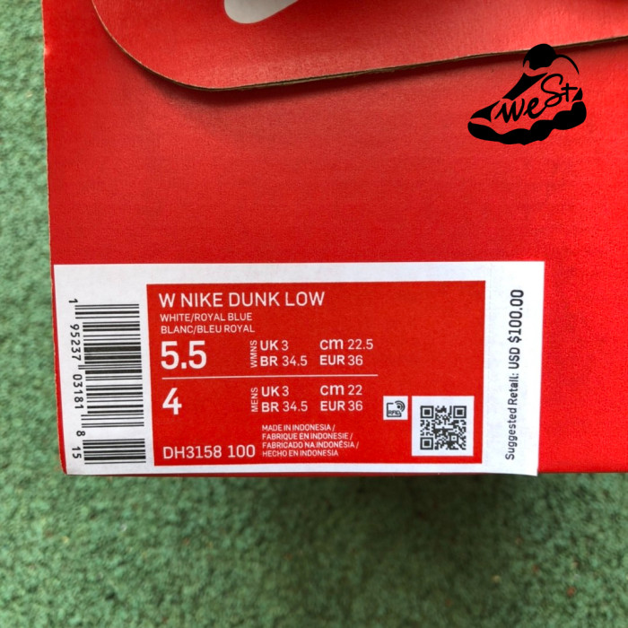 Nike Dunk Low Light