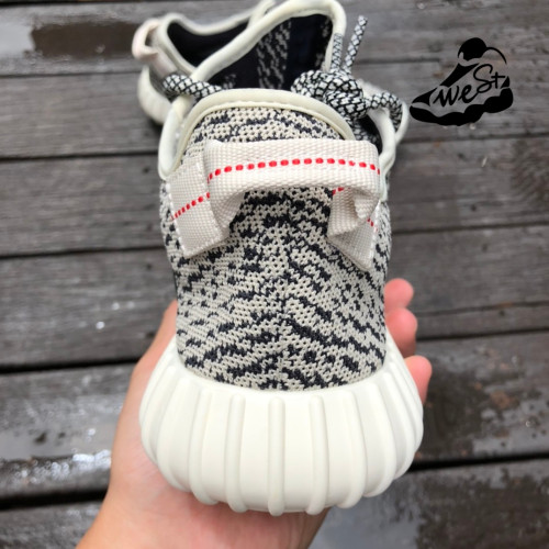 adidas Yeezy Boost 350 turtle