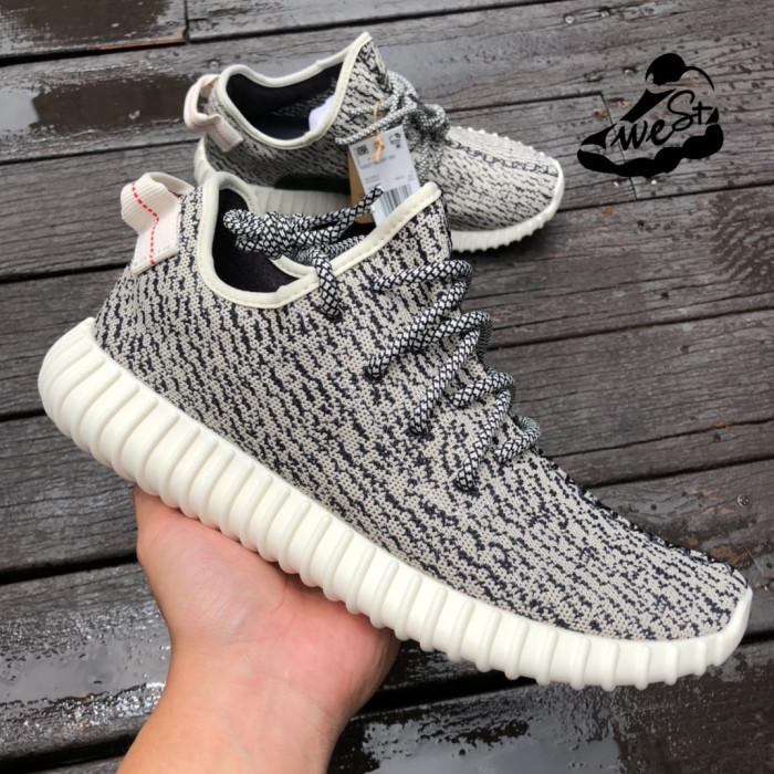 adidas Yeezy Boost 350 turtle