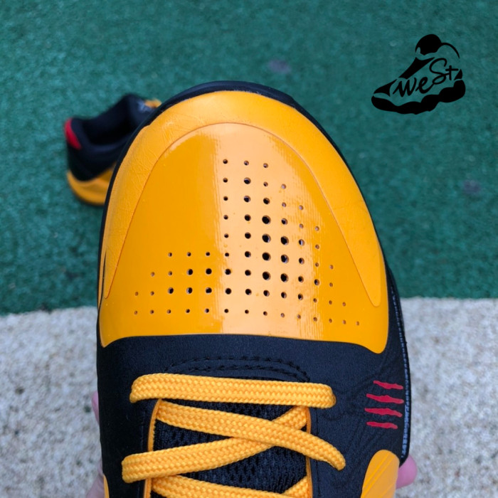 Nike Kobe 5 Protro Bruce Lee