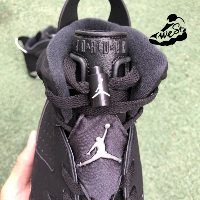 Jordan 6 Retro Metallic Silver