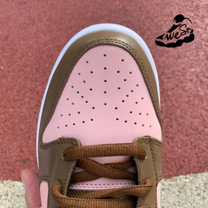 Nike Dunk Low SB Pro Stussy