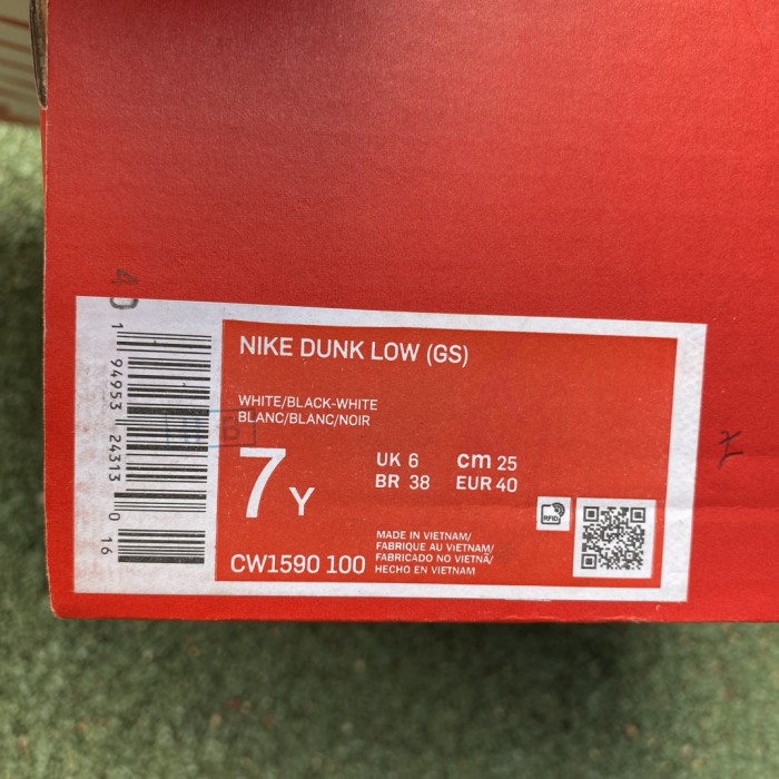 Nike Dunk Low shoe 