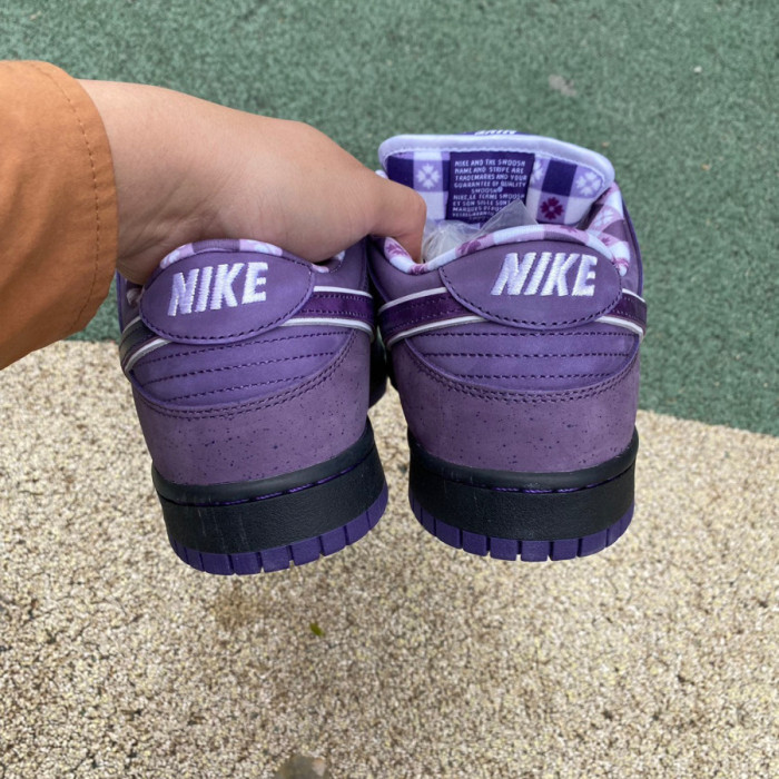 Nike SB Dunk Low Concepts Purple Lobster