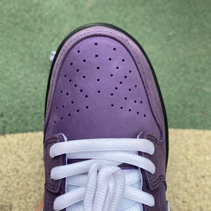 Nike SB Dunk Low Concepts Purple Lobster