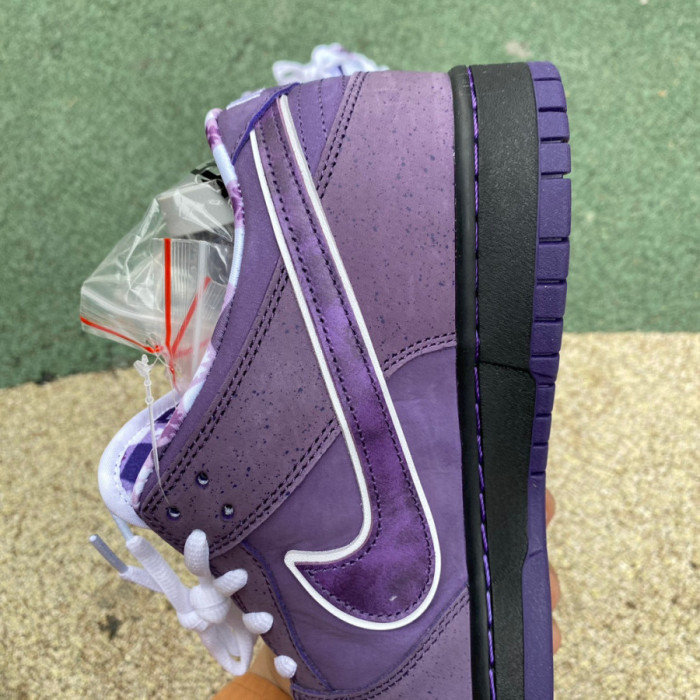 Nike SB Dunk Low Concepts Purple Lobster