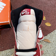 Air Jordan 1 Retro High OG Lost and Found