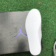 Jordan 3 Dark Iris