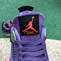 Air Jordan 4 WMNS “Canyon Purple”