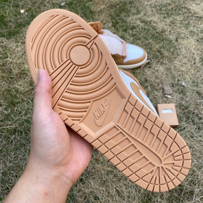 Air Jordan 1 Retro High OG Praline