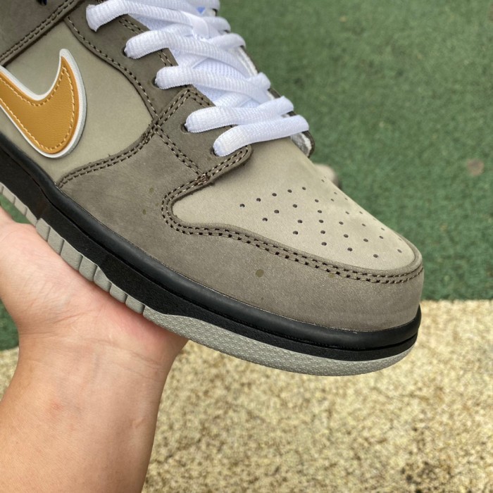 Nike SB Dunk Low shoes