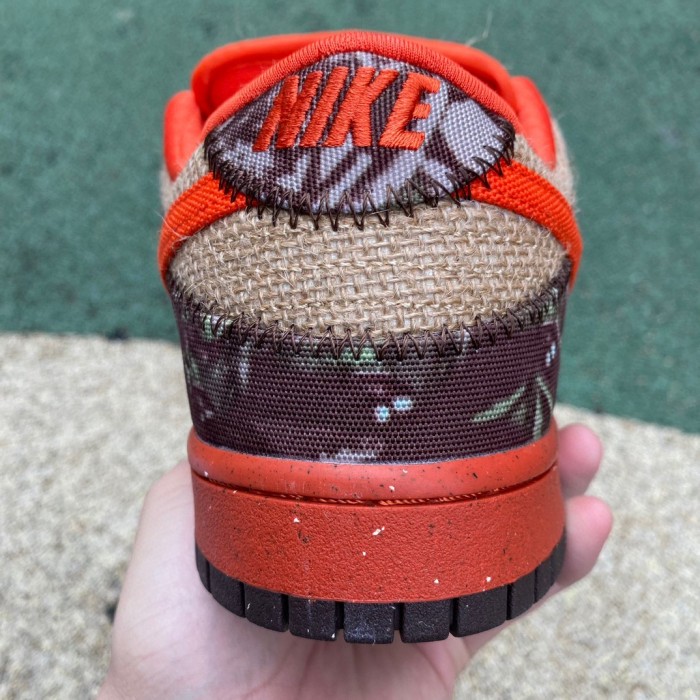Nike SB Dunk Low Reese Forbes Hunter